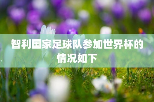 智利国家足球队参加世界杯的情况如下广西贺州市华昌新材料有限公司
