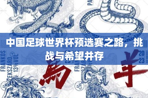 中国足球世界杯预选赛之路，挑战与希望并存