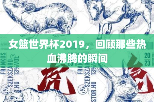 女篮世界杯2019，回顾那些热血沸腾的瞬间广西贺州市华昌新材料有限公司