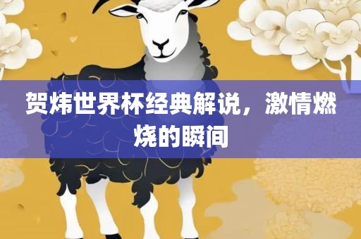 贺炜世界杯经典解说，激情燃烧的瞬间