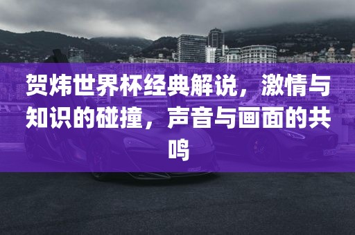 贺炜世界杯经典解说，激情与知识的碰撞，声音与画面的共鸣广西贺州市华昌新材料有限公司