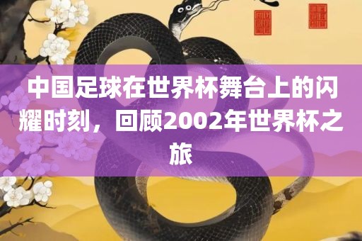 yangchengxiang 第9页