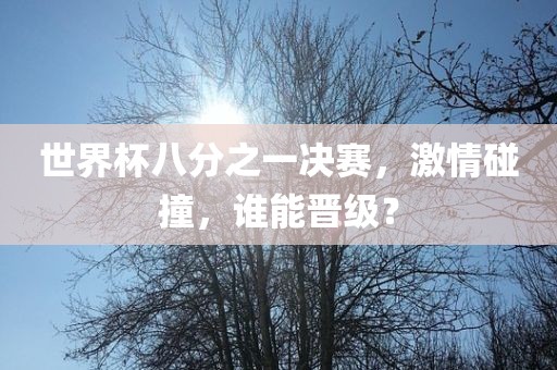 世界杯八分之一决赛，激情碰撞，谁能晋级？广西贺州市华昌新材料有限公司