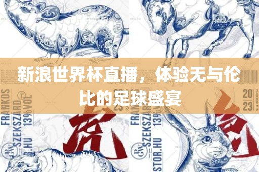 新浪世界杯直播，体验无与伦比的足球盛宴广西贺州市华昌新材料有限公司