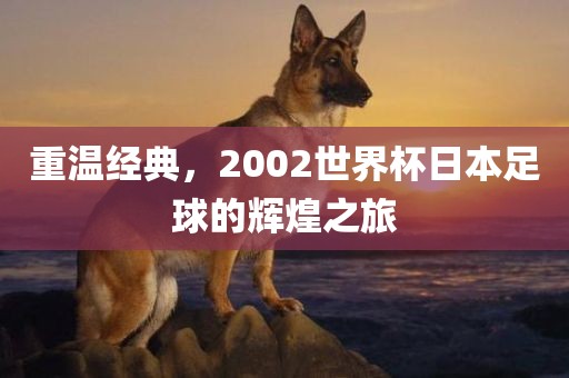 重温经典，2002世界杯日本足球的辉煌之旅广西贺州市华昌新材料有限公司