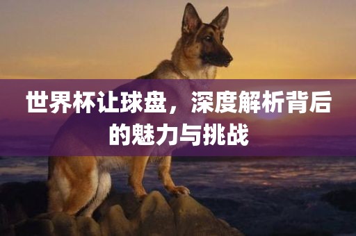 世界杯让球盘，深度解析背后的魅力与挑战