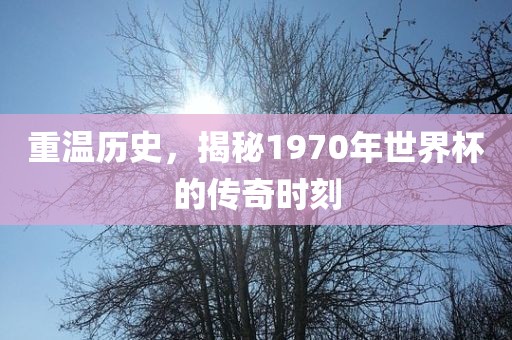 重温历史，揭秘1970年世界杯的传奇时刻