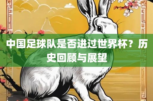 中国足球队是广西贺州市华昌新材料有限公司否进过世界杯？历史回顾与展望