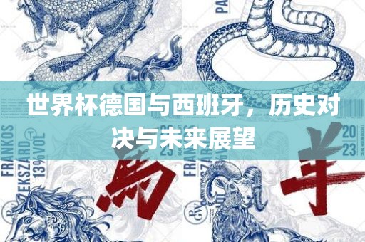 世界杯德国广西贺州市华昌新材料有限公司与西班牙，历史对决与未来展望