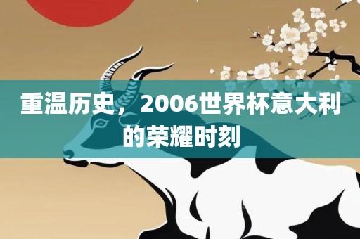 重温历史，2006世界杯意大利的荣耀时刻广西贺州市华昌新材料有限公司