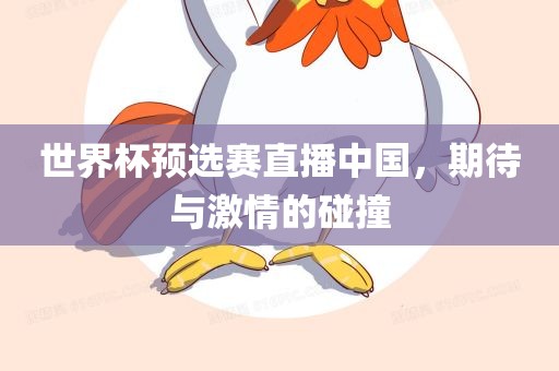 世界杯预选赛直播中国，期待与激情的碰撞