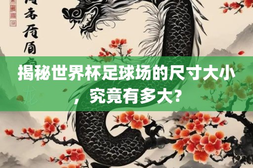 揭秘世界杯足球场的尺寸大小，究竟有多大？