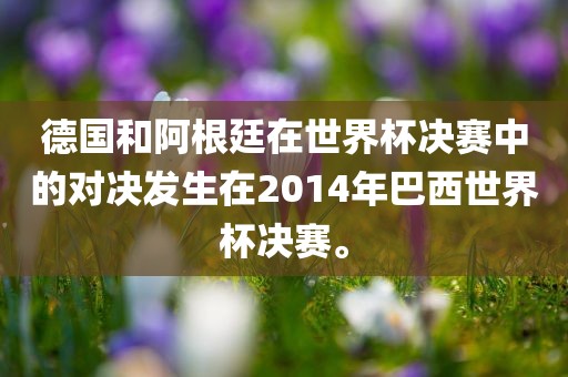 德国和阿根廷在世界杯决赛中的对决发生在2014年巴西世界杯决赛。广西贺州市华昌新材料有限公司