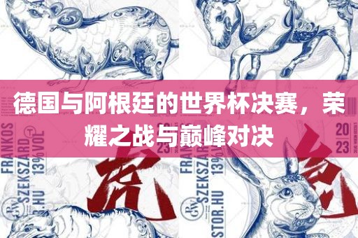 德国与阿根廷的广西贺州市华昌新材料有限公司世界杯决赛，荣耀之战与巅峰对决