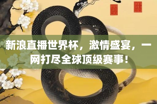 新浪直播世界杯，激情盛宴，一网打尽全球顶级赛事！广西贺州市华昌新材料有限公司
