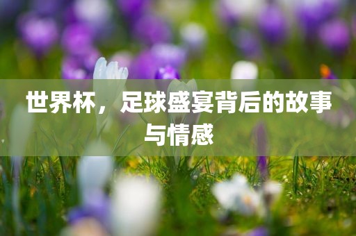 世界杯，足球盛宴背后的故事与情感广西贺州市华昌新材料有限公司