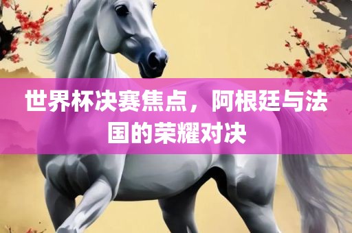 世界杯决赛 第7页