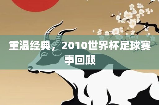 重温经典，2010世界杯足球赛事回顾