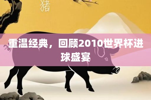 重温经典，回顾2010世界杯进球盛宴