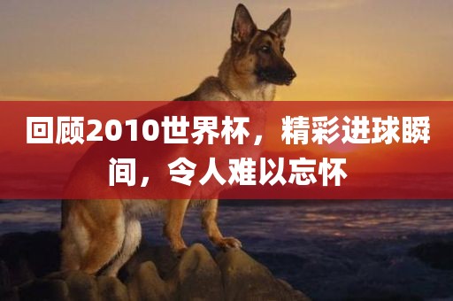 回顾2010世界杯，精彩进球瞬间，令人难以忘怀