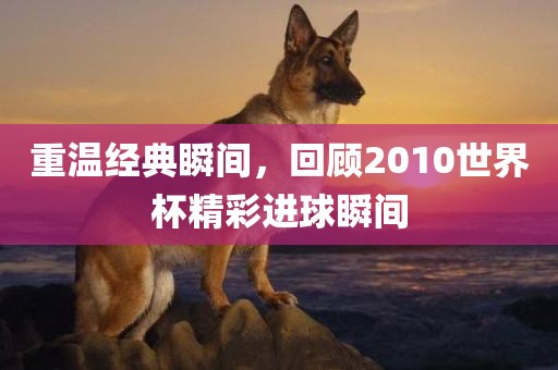 重温经典瞬间，回顾2010世界杯精彩进球瞬间