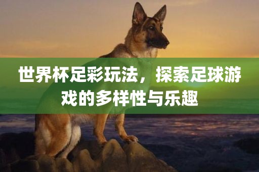 世界杯足彩玩法，探索足球游戏的多样性与乐趣