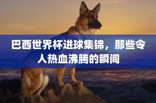 巴西世界杯进球集锦，那些令人热血沸腾的瞬间