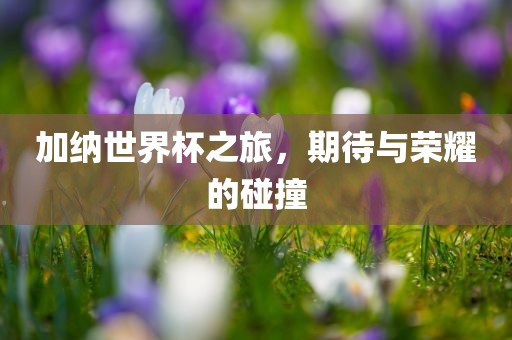 加纳世界杯之旅，期待与荣耀的碰撞广西贺州市华昌新材料有限公司