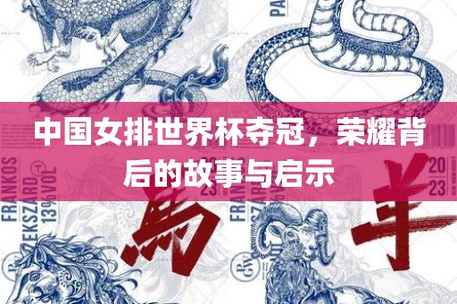 中国女排世界杯夺冠，荣耀背后的故事与启示
