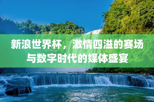 新浪世界杯，激情四溢的赛场与数字时代的媒体盛宴广西贺州市华昌新材料有限公司