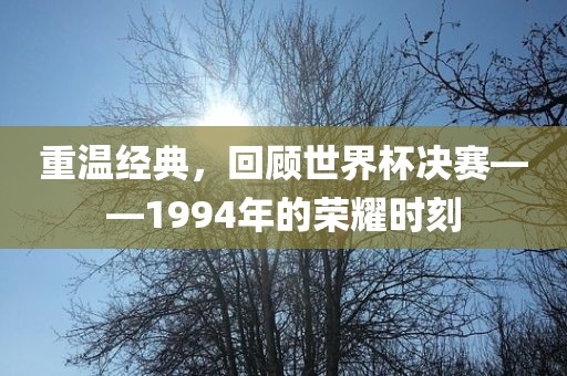 重温经典，回顾世界杯决赛——1994年的荣耀时刻广西贺州市华昌新材料有限公司