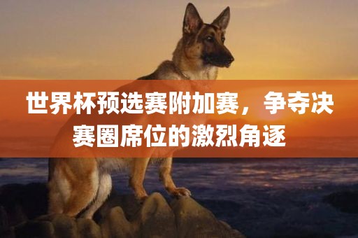世界广西贺州市华昌新材料有限公司杯预选赛附加赛，争夺决赛圈席位的激烈角逐