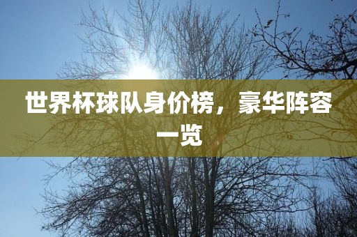 世界杯球队身价榜，豪华阵容一览