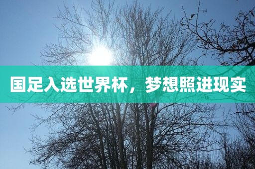 国足入选世界杯，梦想照进现实