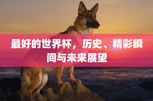最好的世界杯，历史、精彩瞬间与未来展望广西贺州市华昌新材料有限公司