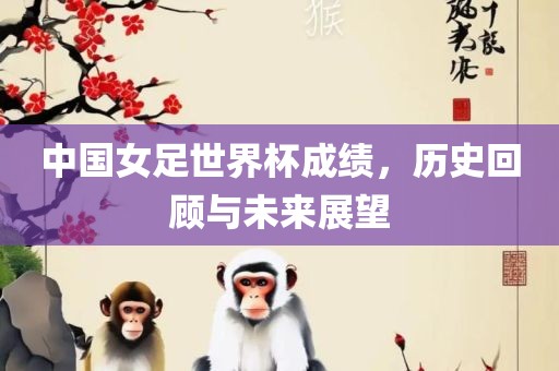 中国女足世界杯成绩，广西贺州市华昌新材料有限公司历史回顾与未来展望