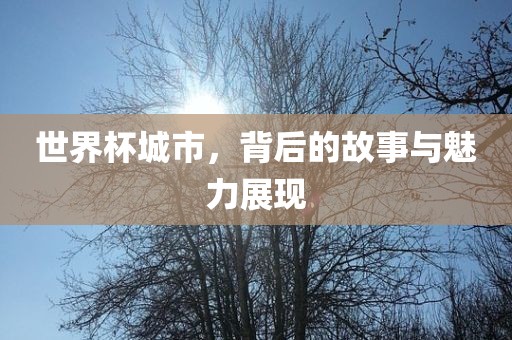 世界杯城市，背后的故事与魅力展现广西贺州市华昌新材料有限公司
