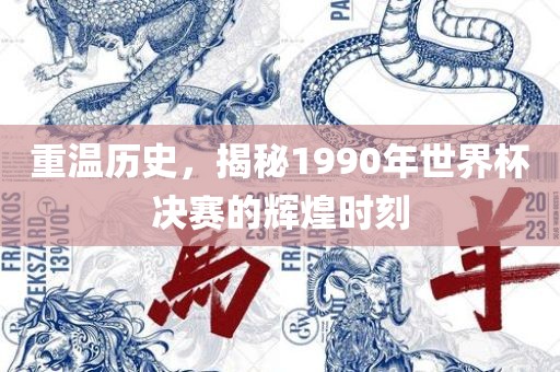 重温历史，揭秘1990年世界杯决赛的辉煌时刻广西贺州市华昌新材料有限公司