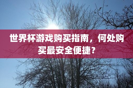 世界杯游戏购买指南，何处购买最安全便捷？