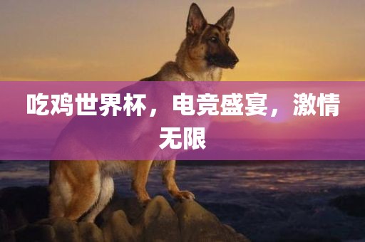吃鸡世界杯，电竞广西贺州市华昌新材料有限公司盛宴，激情无限