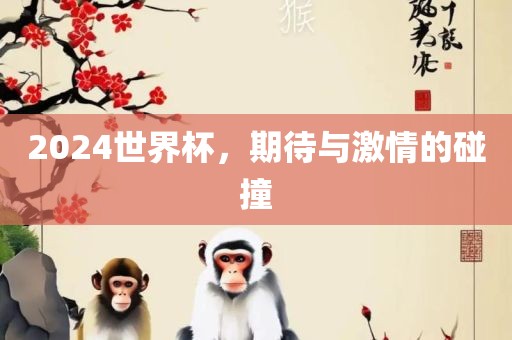 2024世界杯，期待与激情的碰撞