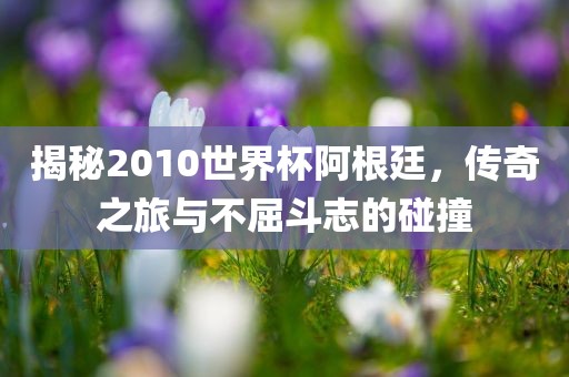 揭秘2010世界杯阿根廷，传奇之旅与不屈斗志的碰撞广西贺州市华昌新材料有限公司