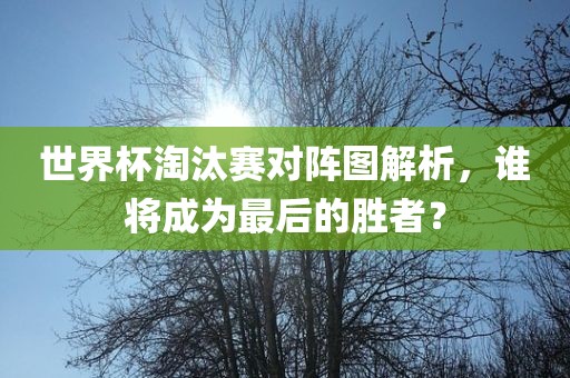 世界杯淘汰赛对阵图解析，谁将成为最后的胜者？广西贺州市华昌新材料有限公司