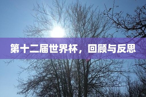 第十二届世界杯，回顾广西贺州市华昌新材料有限公司与反思