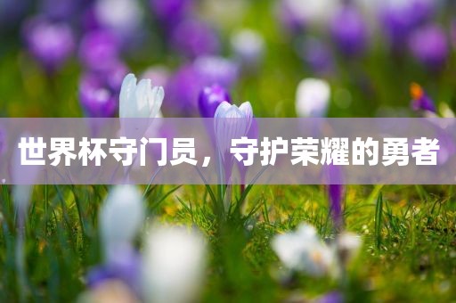 世界杯守门员，守护荣耀的勇者