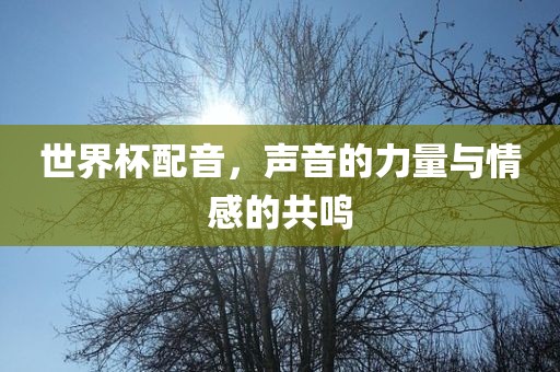世界杯配音，声音的力量与情感的共鸣广西贺州市华昌新材料有限公司