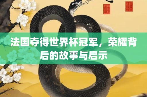 法国夺得世界杯冠军，荣耀背后的故事与启示