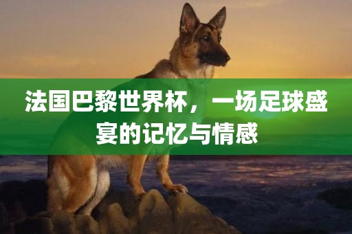 法国巴黎世界杯，一场足球盛宴的记忆与情感