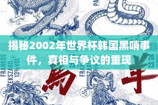 揭秘2002年世界杯韩国黑哨事件，真相与争议的重现