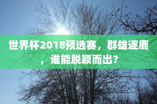 世界杯2018预选赛，群雄逐鹿，谁能脱颖而出？广西贺州市华昌新材料有限公司